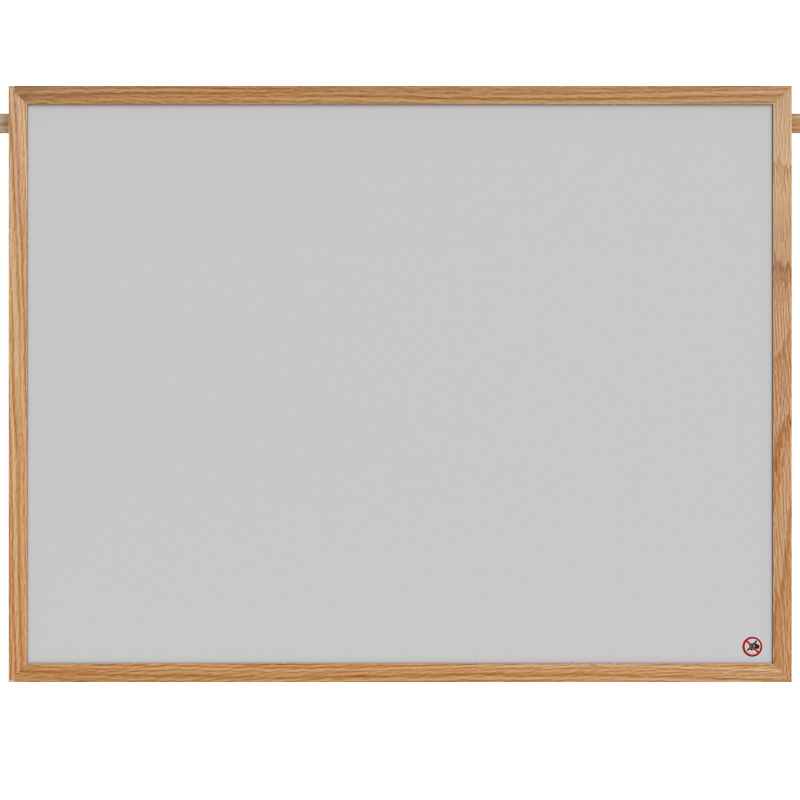 X-Line Projection Screen for AV rail