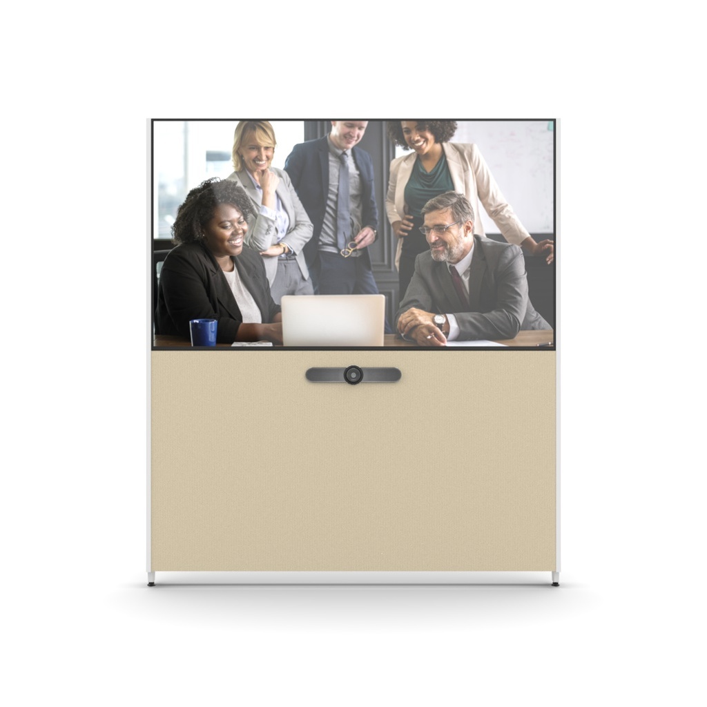 MeetingWall Basic Sony BZ30